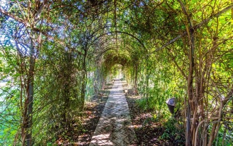 Encuentra tu camino a través de este arco de flores